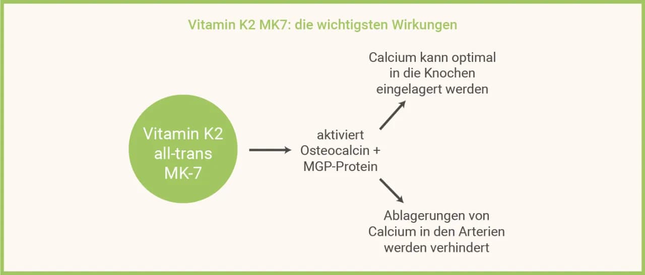 Die überraschenden Vorteile von K2MK7 Vitamin für Ihre Gesundheit