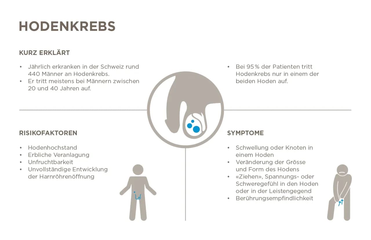 Hodenkrebs Vorsorge: So erkennen Sie die Symptome rechtzeitig