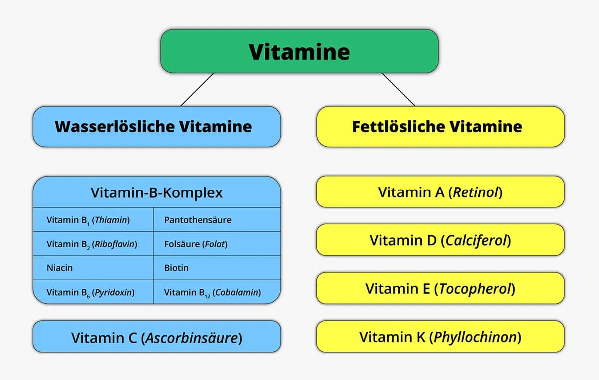 Vitamine und ihr Einfluss auf den Stoffwechsel für mehr Energie und Gesundheit