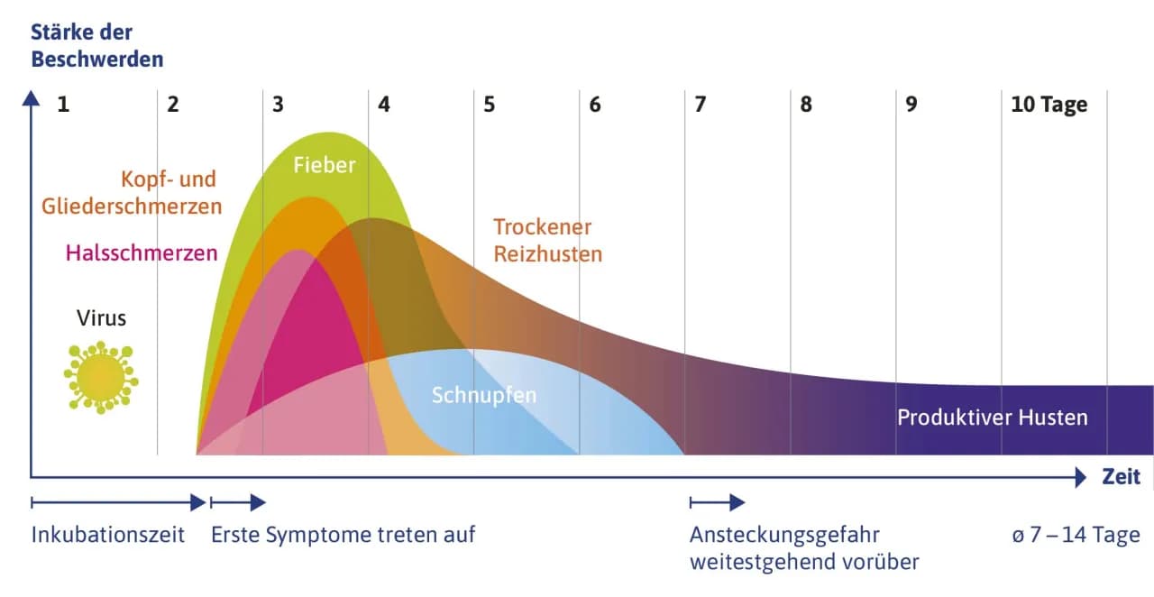 Die häufigsten symptome grippaler infekt und wie man sie erkennt