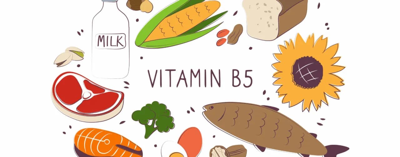 Wichtige Informationen über Vitamin B5: Funktionen, Quellen und Vorteile