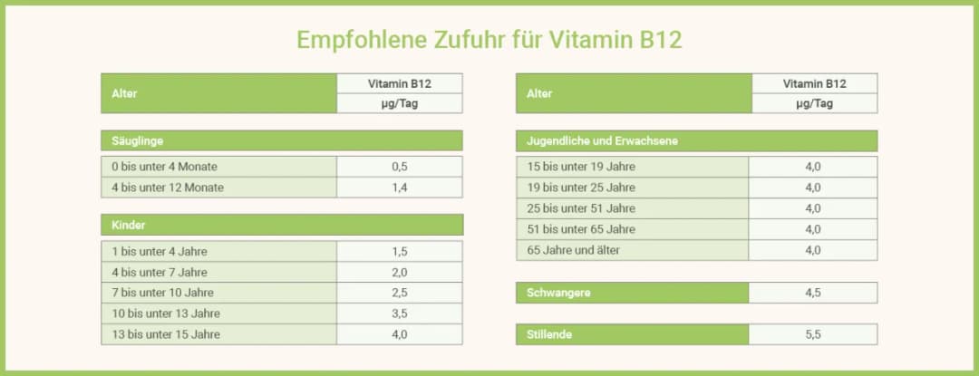 Vitamin B12: Wichtige Informationen zu Mangel, Quellen und Dosierung