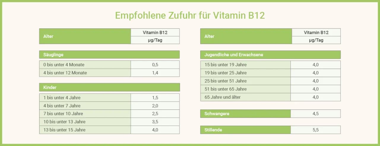 Vitamin B12: Wichtige Informationen zu Mangel, Quellen und Dosierung