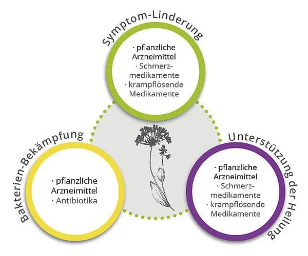 Harnwegsinfektion Medikamente: Effektive Behandlungen und Alternativen